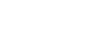 digivigor-logos white